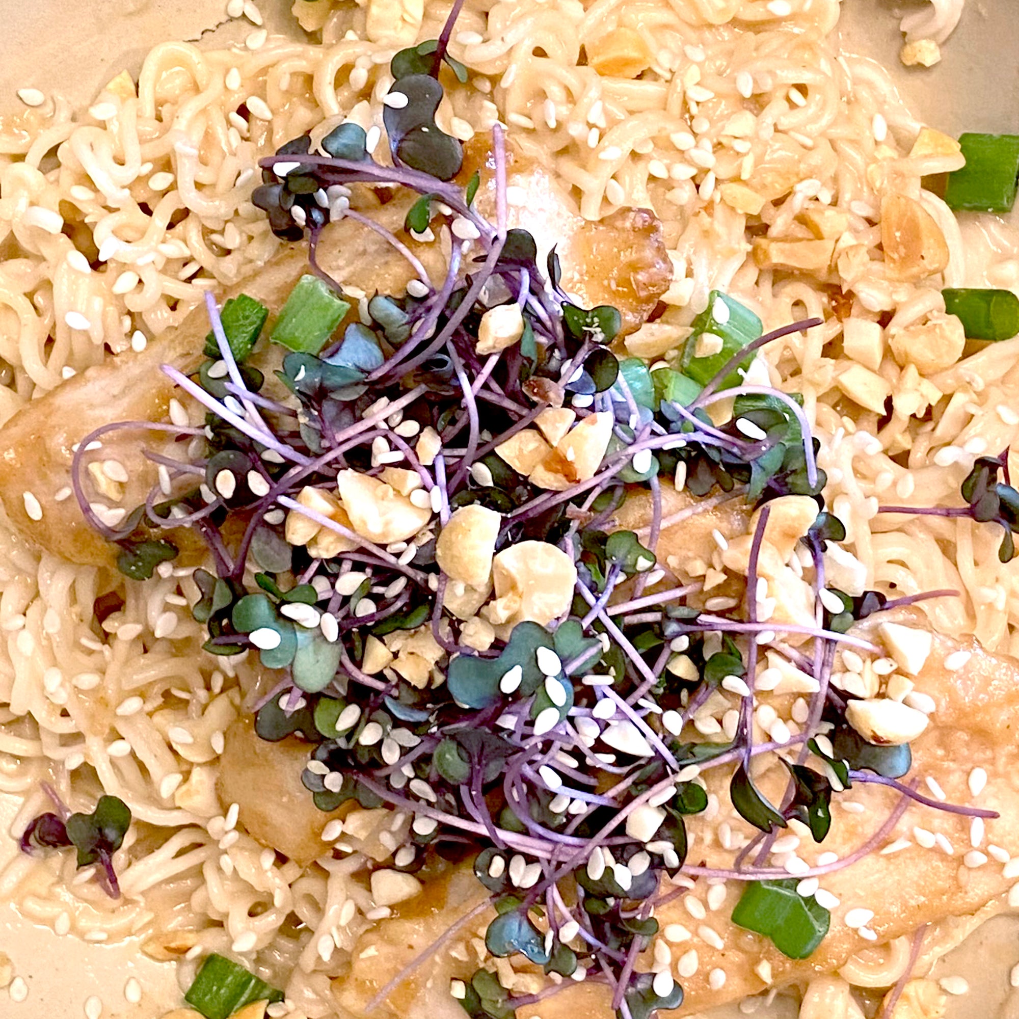 Peanut Chicken & Noodles with Microgreens