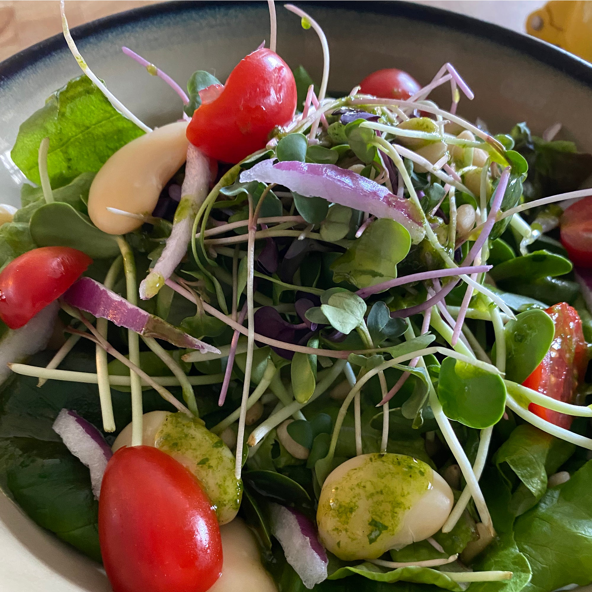 Wispy Greens Salad with Homemade Lemon and Basil Dressing