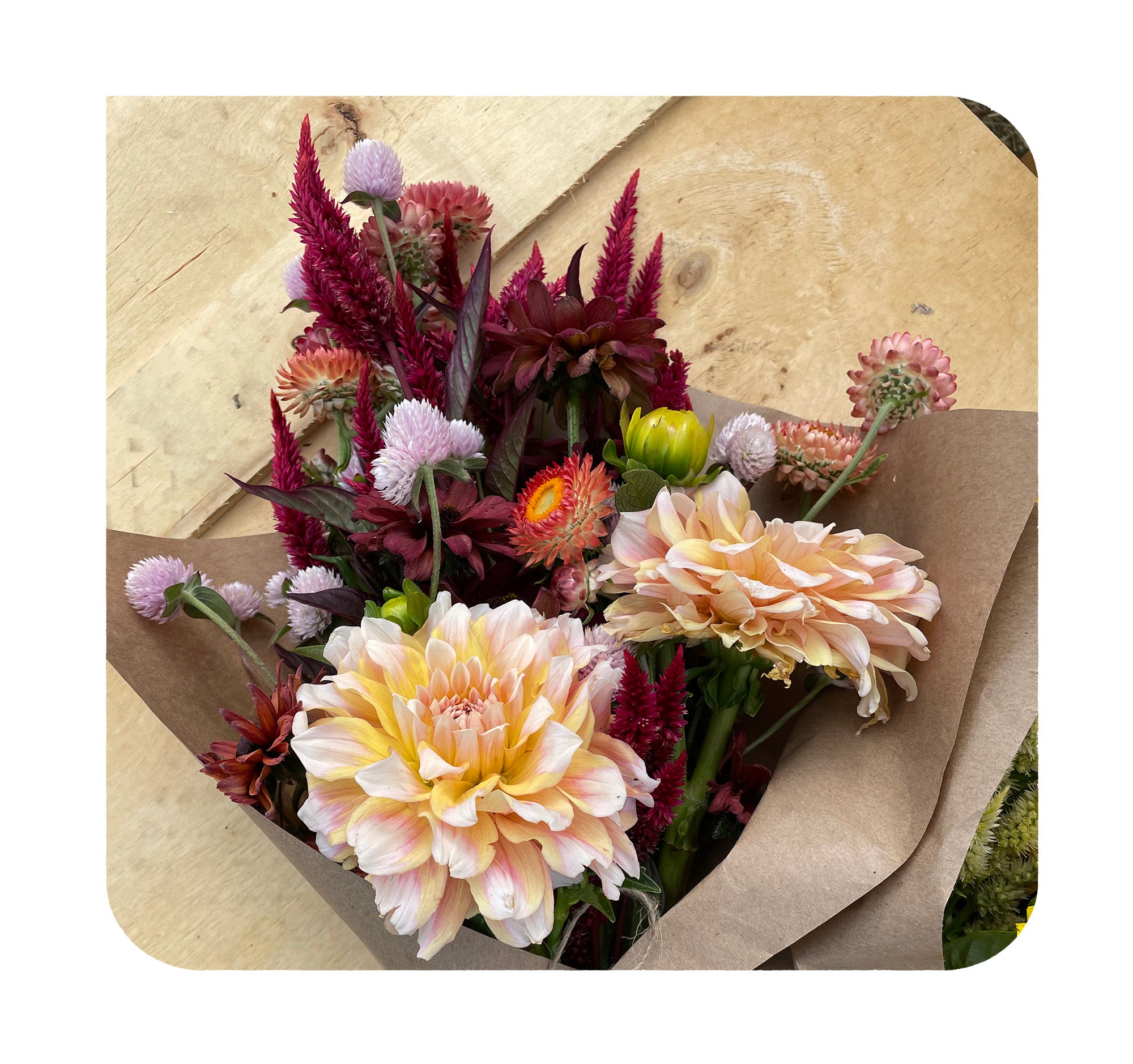 Purchase Single Blooms