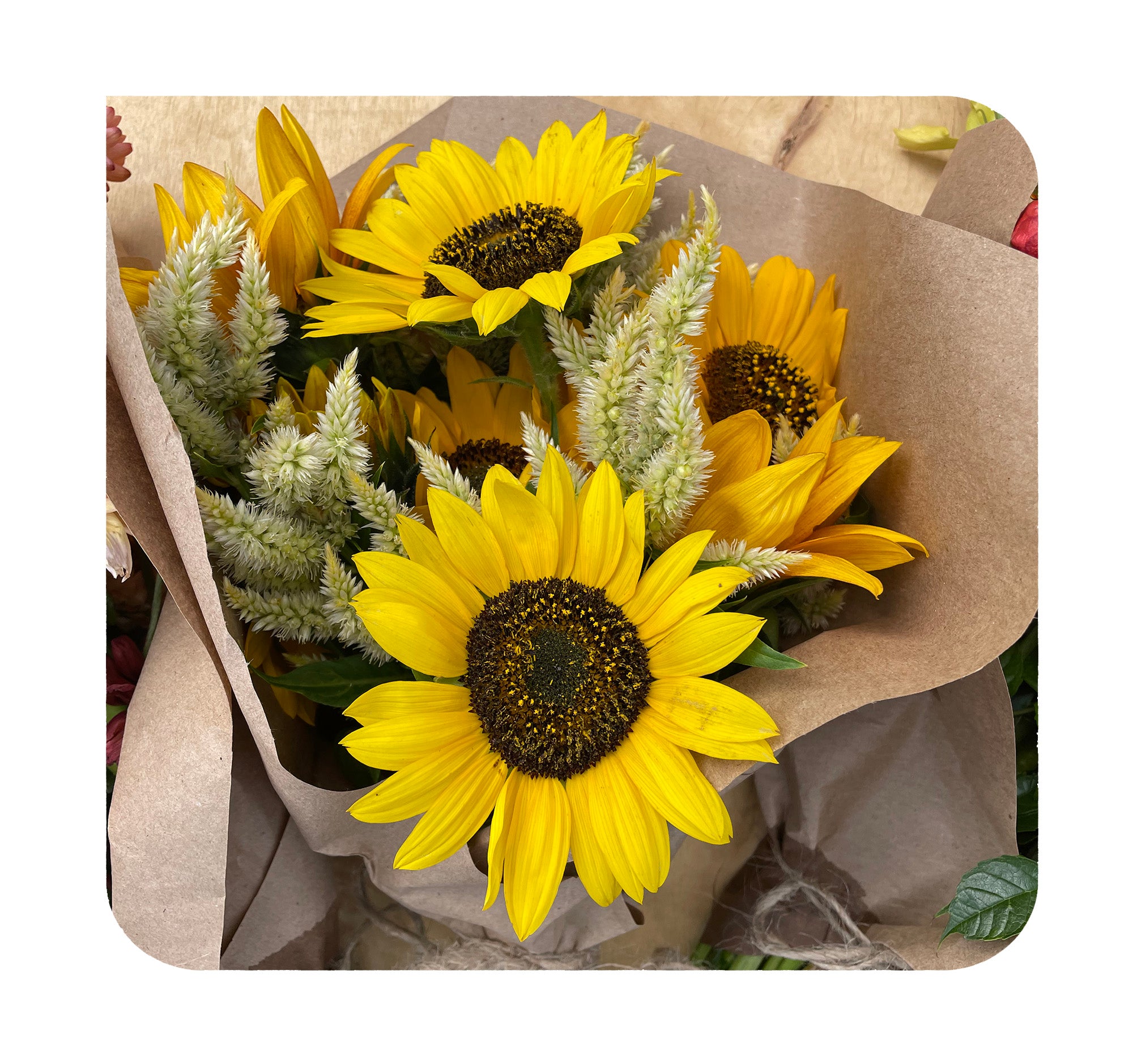 Purchase Single Blooms