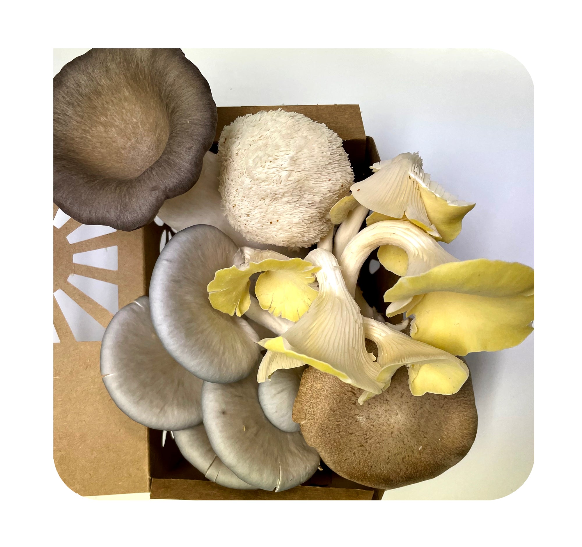 Mushrooms